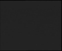 Nástup na běžecké tratě