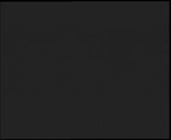 Nástup na běžecké tratě