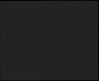 Snímek 8.11.2025 v 22:30