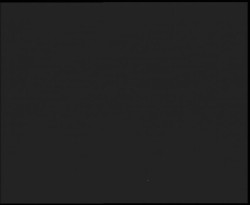 Nástup na běžecké tratě