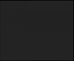 Nástup na běžecké tratě