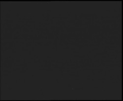 Nástup na běžecké tratě