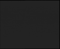 Nástup na běžecké tratě