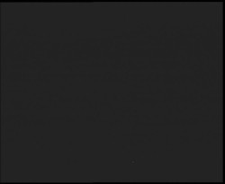 Nástup na běžecké tratě