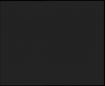 Snímek 9.11.2025 v 02:45