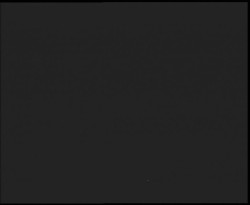 Nástup na běžecké tratě