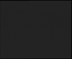 Nástup na běžecké tratě