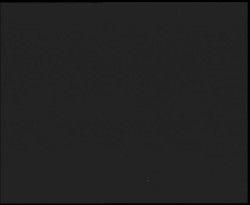 Nástup na běžecké tratě