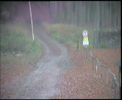 Nástup na běžecké tratě