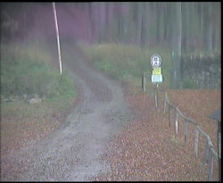 Nástup na běžecké tratě