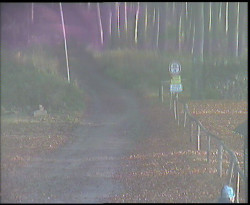 Nástup na běžecké tratě