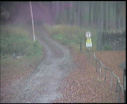 Nástup na běžecké tratě