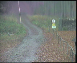 Nástup na běžecké tratě