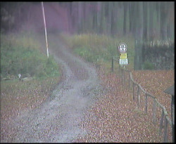 Nástup na běžecké tratě