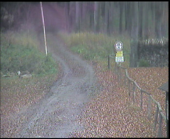 Snímek 9.11.2025 v 12:00