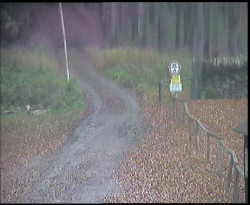 Nástup na běžecké tratě