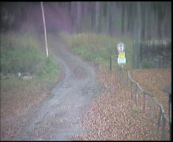 Nástup na běžecké tratě