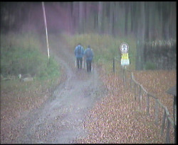 Nástup na běžecké tratě