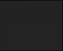 Nástup na běžecké tratě