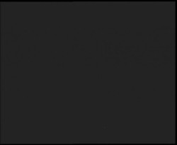 Nástup na běžecké tratě