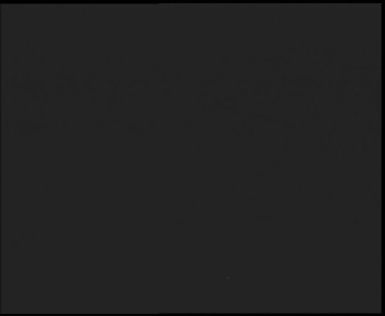 Snímek 9.11.2025 v 19:15