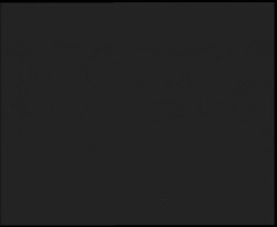 Nástup na běžecké tratě