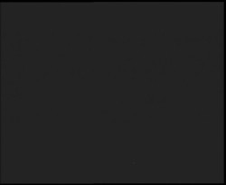 Nástup na běžecké tratě