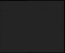 Nástup na běžecké tratě