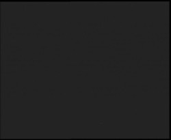 Nástup na běžecké tratě