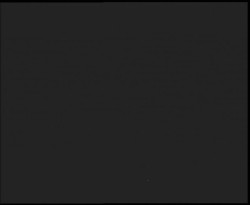 Nástup na běžecké tratě