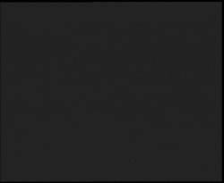 Nástup na běžecké tratě