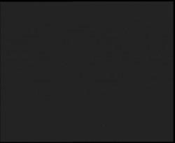 Nástup na běžecké tratě