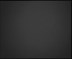 Nástup na běžecké tratě