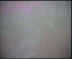 Nástup na běžecké tratě