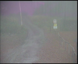 Nástup na běžecké tratě