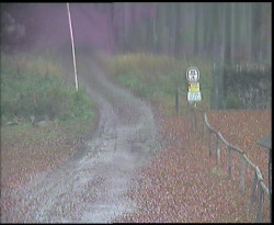 Nástup na běžecké tratě