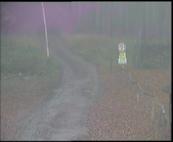 Nástup na běžecké tratě