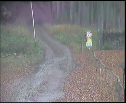 Nástup na běžecké tratě