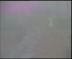 Nástup na běžecké tratě