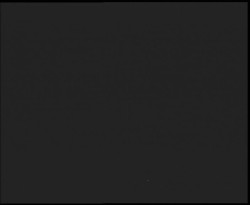 Nástup na běžecké tratě