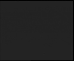 Nástup na běžecké tratě