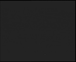 Nástup na běžecké tratě