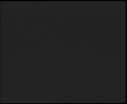 Nástup na běžecké tratě