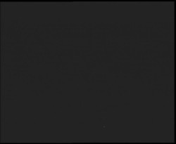 Nástup na běžecké tratě