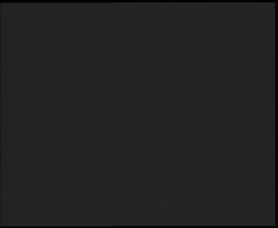 Nástup na běžecké tratě