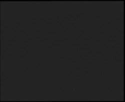 Nástup na běžecké tratě