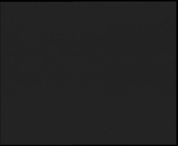 Nástup na běžecké tratě