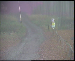 Nástup na běžecké tratě