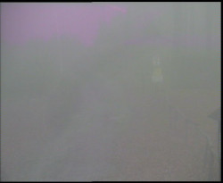 Nástup na běžecké tratě