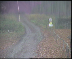 Nástup na běžecké tratě